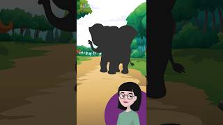 Sombra misteriosa na floresta. Que animal é este?