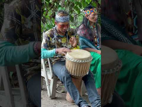 Making medicine with the Huni Kuin in the Amazon Rainforest #hauxhaux