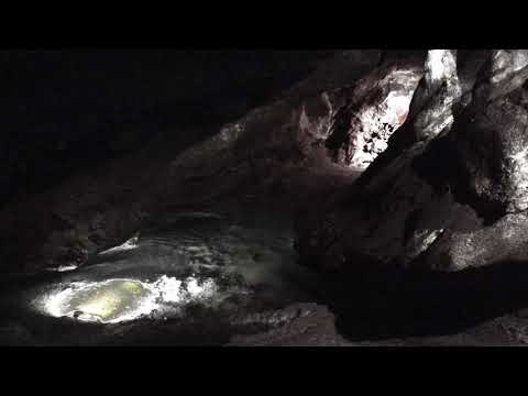 PAP25 - DuBuDub (Videoclip)