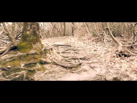 The Fox Fire "Heading Home" Music Video