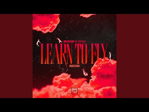Learn To Fly (Brooks Remix)