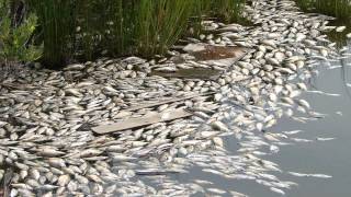 Take me Away - Nine Lies