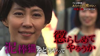 木村佳乃、水野美紀らが衝撃せりふ連発! ドラマ「あなたには渡さない」特別映像が公開 mqdefault - 木村佳乃、水野美紀らが衝撃せりふ連発! ドラマ「あなたには渡さない」特別映像が公開