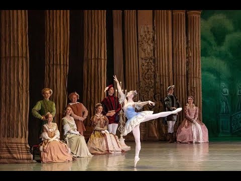 Blue Bird and Princess Florine - Ekaterina Nechayeva, Erdem Ochirov