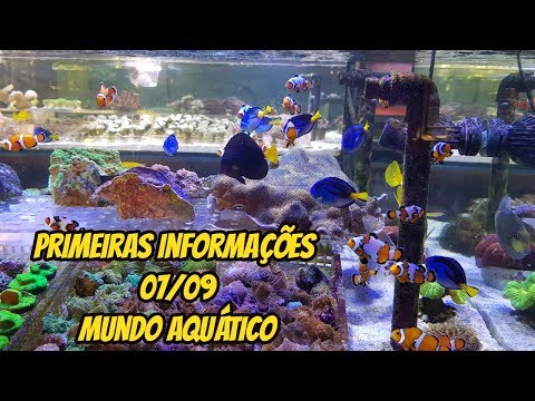 Esses valores são apenas para o dia 07/09 na Mundo Aquático