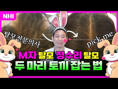 M자 탈모 정수리 탈모! 이걸로 두 마리 토끼 잡기 가능????ㅣ뉴헤어