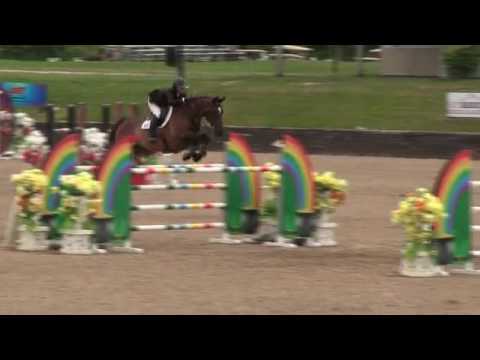 Video of Pyrenes De Louzes ridden by Cassandra Kahle from ShowNet!