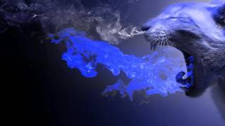 MTv Dont Give a Fuck Original Mix OUT NO Dirty Palm &amp; ALex Leads Zip Jones