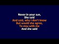 Stevie Wonder - Never In Your Sun - Karaoke Instrumental Lyrics - ObsKure