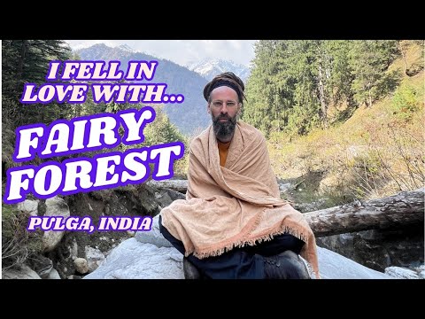 The AMAZING Fairy Forest in Pulga, India. Himachal Pradesh Parvati Valley