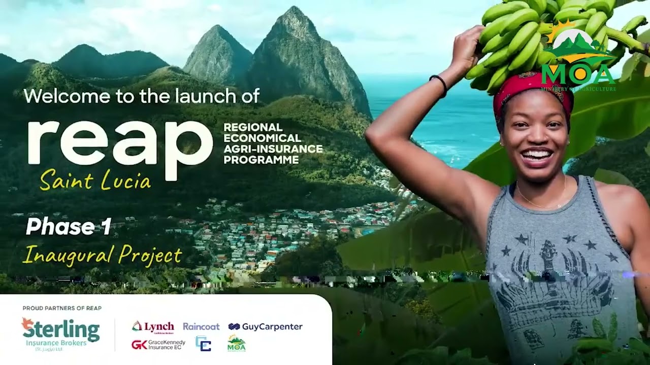 Ministry of Agriculture Launches Crop Insurance Programme to Safeguard Saint Lucia’s Farmers