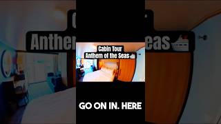 Inside Your Cruise Cabin: Storage, Plugs & More!