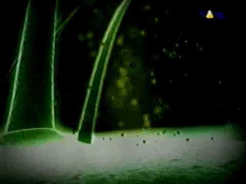 Megashira: When worlds collide