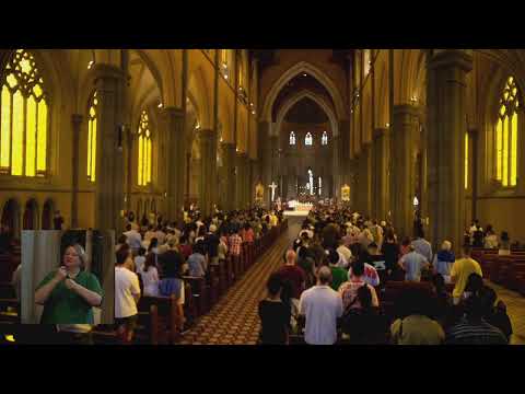 11am Mass - Sunday 2 November