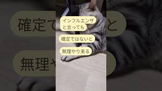 #あーちゃん