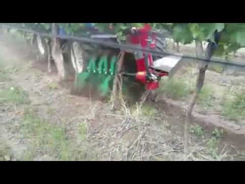 BMV-SPOLLONATRICE-VINE SHOOT REMOVER-DESBROTADORA-SPL800-2