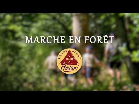 Marche en forêt | Chant Scout
