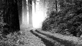 LUIS EDUARDO AUTE - SINVIVIR - LUIS EDUARDO AUTE