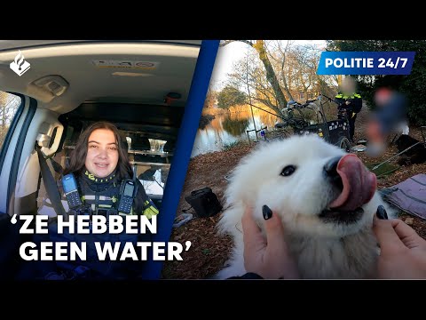 Politie 24/7 | Blaffende honden