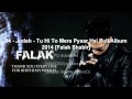 Falak Shabir Tu Hi To Mera Pyaar Hai 