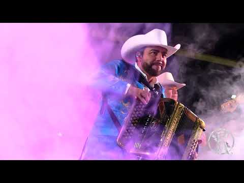 CAPULLITO DE ROSA-RELAMPAGUITOS