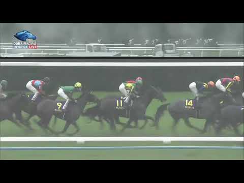 2017.10.22 Kikuka Sho (Japanese St. Leger) - Kiseki