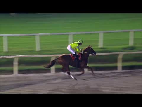 230513 c10 - QUE COMPLICADO - HIPODROMO DE MARONAS