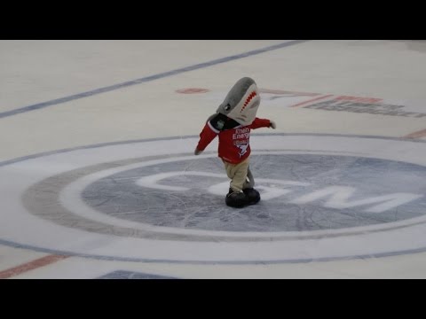 Sharky Dance - Kölner Haie vs. Red Bull München (11.09.15)