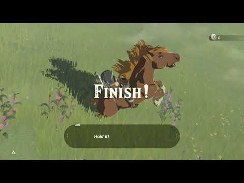 How to Get Infinite Korok Seeds in the Legend of Zelda Breath of the Wild (2019 Glitch)