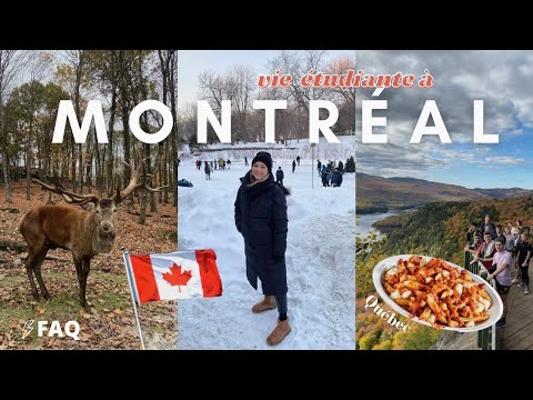 ÉTUDIANTE À MONTRÉAL: univ, coût de la vie, coloc, l’hiver, s’intégrer⛸📚/ FAQ Québec 🇨🇦