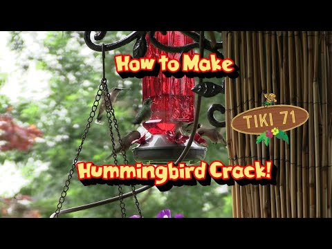 How to Make Hummingbird Crack!  + Feeding Frenzy Video #Hummingbirds