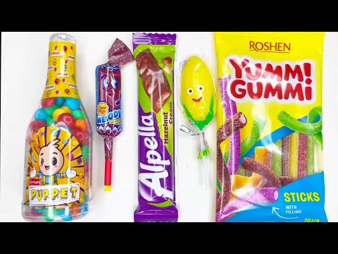 The Sweet World of Chocolate | From Bean to Bar