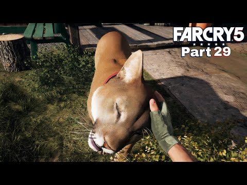 Far Cry 5 Walkthrough | Part 29 | Far Cry 5 gameplay | No commentary