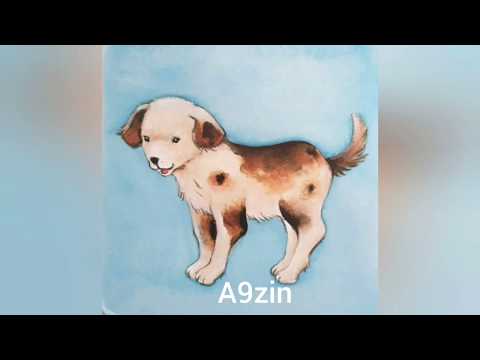 Lhayawan animals Tiere  tmazight nador