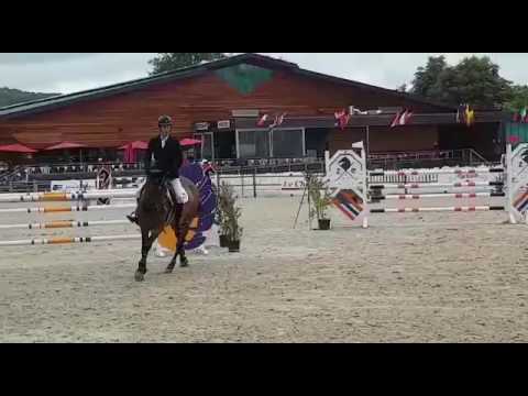 7y mare Quidam de revel x for pleasure