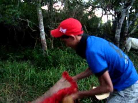 Comitiva 100 nóis 100 festa.Acordando pela manhã