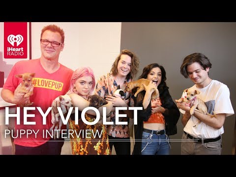 Hey Violet Puppy Interview! | #LovePup with Johnjay