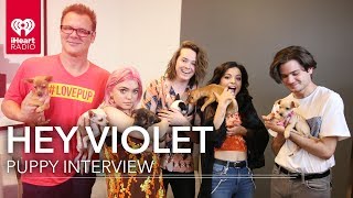 Hey Violet Puppy Interview! | #LovePup with Johnjay