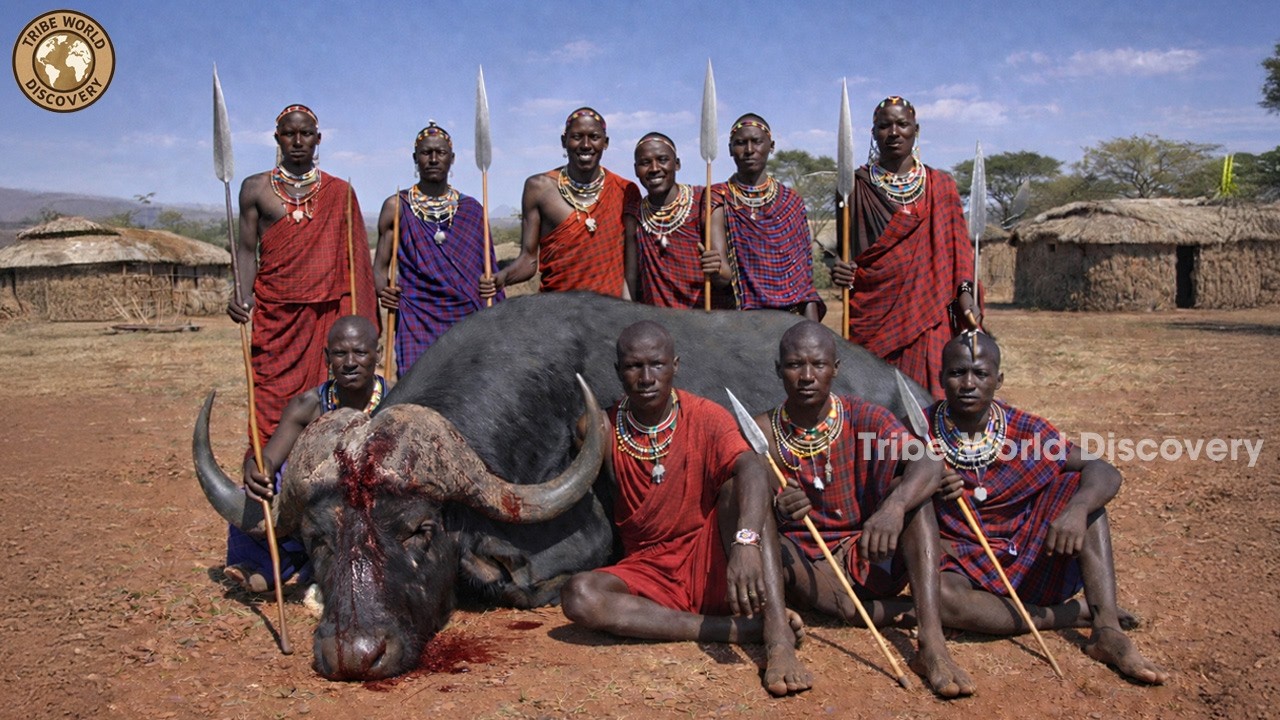 Inside Maasai Tribe: Face To Face With Buffalo for Survival | African Tribes In Africa