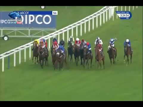 Queen Elizabeth II Stakes G1 - 21\10\2017 - Persuasive
