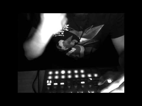 Electribary - Midnight Stay in the Jungle