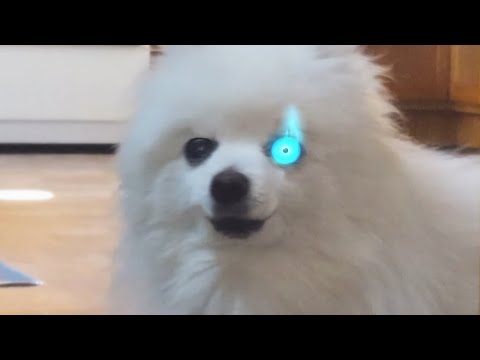 Megaborkvania - Undertale