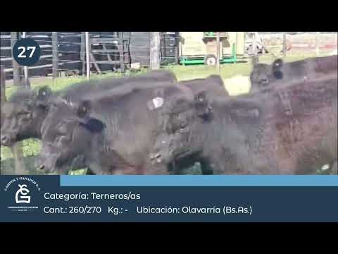 Lote M y H - Olavarria Bs As
