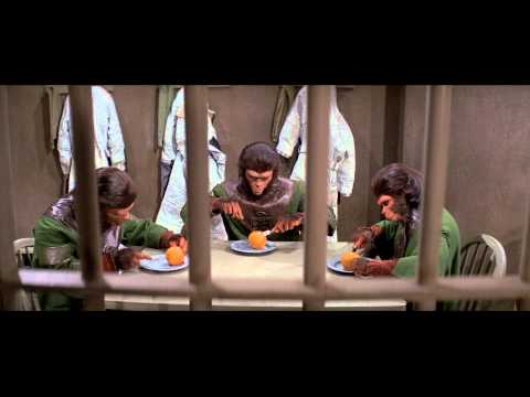 Les Évadés De la Planète Des Singes - Bande Annonce