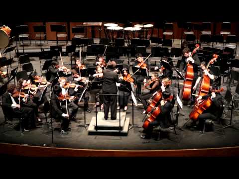 SAMOHI Chamber Orchestra 