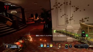 bo4 ゾンビ　のんびりR周回