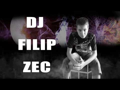 DDJFILIP ZEC- IZBOR NA PUBLIKATA AUG 2014