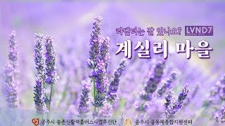 [2023] 라벤더는 잘 있나요? 향기로운 계실리 마을 이미지