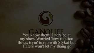 SlyKat - Promote It