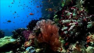 Tiësto - Ten Seconds Before Sunrise